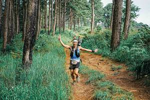 BIB: 
                            <button type="button" onclick="openModal(25658987)" class="btn btn-primary btn-sm float-right btn-popup" data-toggle="modal" data-target=".modal-high-quality">
                        <i class="fas fa-shopping-cart"></i> Add to Cart
                    </button>
                                            <button type="button" onclick="isThisMe(25658987, true)" class="btn btn-success btn-sm float-right btn-popup btn-isme hidden" data-toggle="tooltip" data-placement="bottom" title="นี่คือรูปของคุณใช่ไหม คลิกที่นี่เพื่อเอาเข้าอัลบั้ม">
                        <i class="fas fa-plus"></i> Add to album
                    </button>
                    <button type="button" onclick="isThisMe(25658987, false)" class="btn btn-warning btn-sm float-right btn-popup btn-isnotme hidden">
                        <i class="fas fa-ban"></i> Remove from album
                    </button>